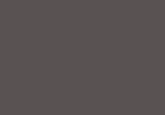 New Bluestone / Granite concrete sealer colour