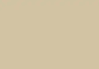 Paperbark concrete sealer colour