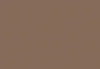 Lite Mocha concrete sealer colour